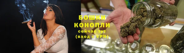 ГАЛЛЮЦИНОГЕННЫЕ ГРИБЫ Верея